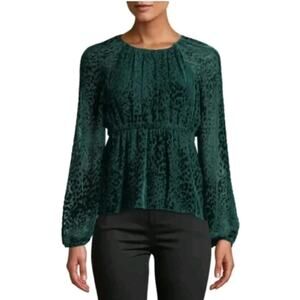 ALC green burnt velvet long sleeve silk top Size 6 Whimsigoth Boho Forest Fairy